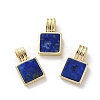 Natural Lapis Lazuli Pendants G-B123-03G-03-1