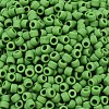 TOHO 6/0 Round Beads SEED-XTR06-0047F-3