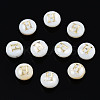 Natural Freshwater Shell Beads SHEL-S278-036H-1