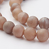 Electroplated Natural Agate Bead Strands G-P222-04-3