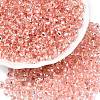 6/0 Baking Paint Transparent Fringe Glass Seed Beads X1-SEED-N006-06E-1
