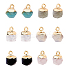 12Pcs 6 Styles Electroplate Synthetic Black Stone G-FH0002-71-1