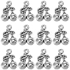 80Pcs Tibetan Style Alloy Pendants FIND-SC0014-56AS-1