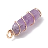 Natural Amethyst Double Terminal Pointed Pendants PALLOY-JF02672-01-4