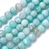Natural Dyed Agate Imitation Turquoise Beads Strands G-P425-02A-6mm-2