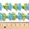 Handmade Lampwork Beads Strands LAMP-A005-03B-4