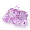 Transparent Acrylic Pendants TACR-T002-16-2
