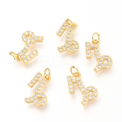 Brass Micro Pave Clear Cubic Zirconia Charms ZIRC-O036-30G-C-1