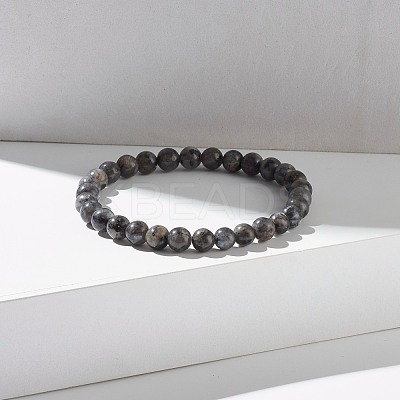 Natural Larvikite Round Beads Stretch Bracelet BJEW-JB07209-03-1