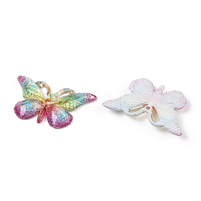 Printed Translucent Acrylic Pendants OACR-T028-17A-1
