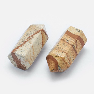 Natural Picture Jasper Pointed Beads G-G760-K13-1
