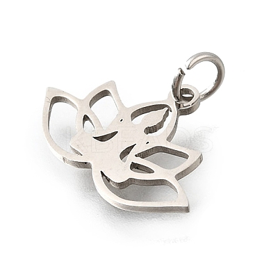 304 Stainless Steel Charms STAS-M119-03P-1