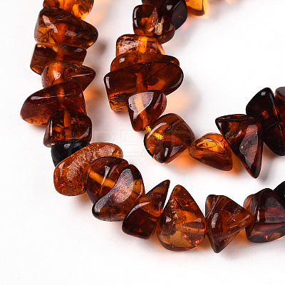 Natural Amber Beads Strands G-T138-235D-1