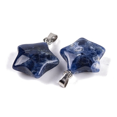 Natural Sodalite Pendants G-Q172-09P-08-1