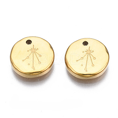 316 Surgical Stainless Steel Charms STAS-S116-418K-G-1