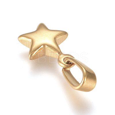 304 Stainless Steel Charms STAS-I127-067G-01-1