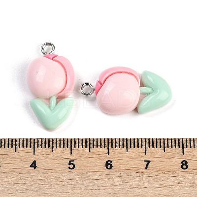 Resin Pendants RESI-I061-04A-1