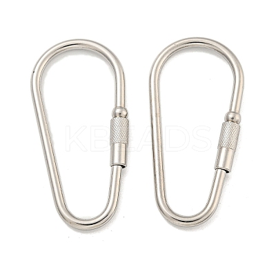 Non-Tarnish 304 Stainless Steel Screw Carabiner Lock Charms LS-STAS-C092-06P-1