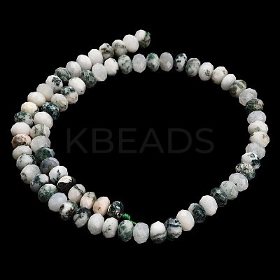 Natural Tree Agate Beads Strands G-Z111-A46-1