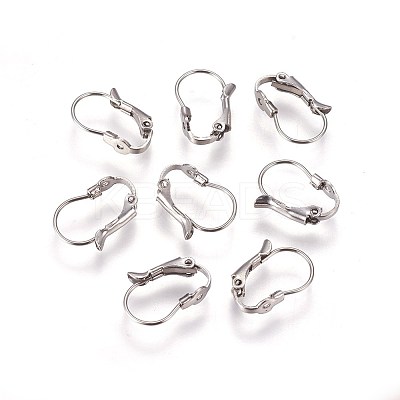Tarnish Resistant 304 Stainless Steel Leverback Earring Findings LS-STAS-E460-04P-1