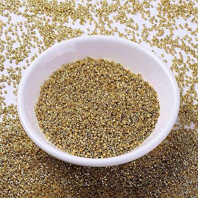 MIYUKI Delica Beads X-SEED-J020-DB1832-1