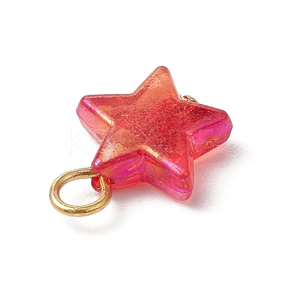 Transparent Acrylic Pendants PALLOY-JF03549-1