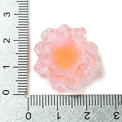 Luminous Transparent Resin Decoden Cabochons CRES-F032-B03-1