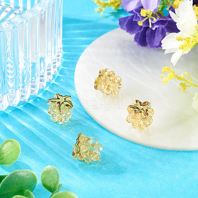 4Pcs Handmade Lampwork Beads LAMP-TA0002-24E-1