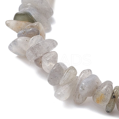 Natural Labradorite Chip Beaded Charm Bracelets BJEW-JB12312-03-1