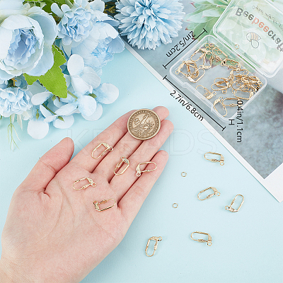 30Pcs Brass Leverback Earring Findings FIND-BBC0003-20G-1