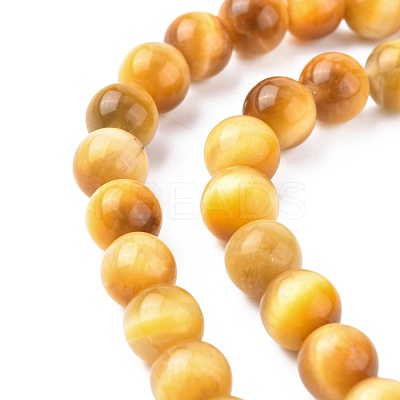 Natural Gold Tiger Eye Beads Strands X-G-G212-8mm-18-1