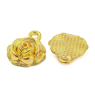 Alloy Pendants FIND-G065-14G-1