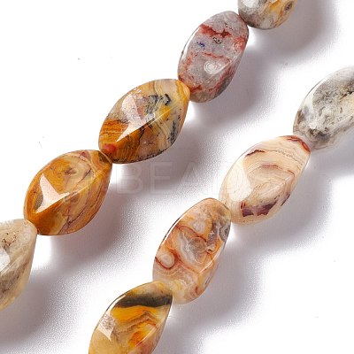 Natural Crazy Lace Agate Beads Strands G-L243A-20-1