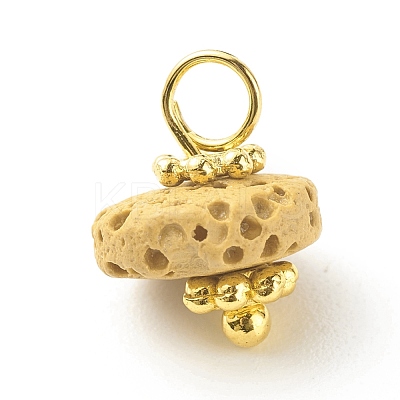 Natural & Dyed Lava Rock Charms PALLOY-JF01145-1