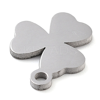 Anti-Tarnish 304 Stainless Steel Charms LS-STAS-M076-10P-1