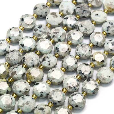Natural Sesame Jasper Beads Strands G-C116-A141-01-1