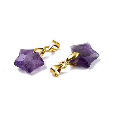 Natural Amethyst Charms X-G-N326-142-03-1