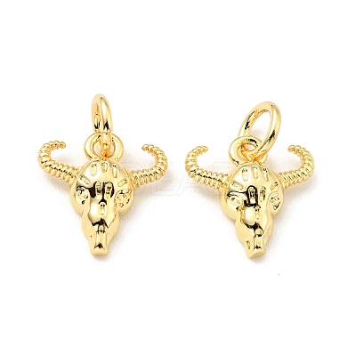 Brass Charms KK-G416-17G-1