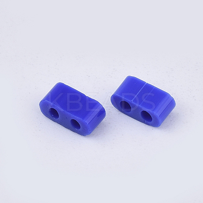 FGB 2-Hole Glass Seed Beads X-SEED-S031-M-048-1