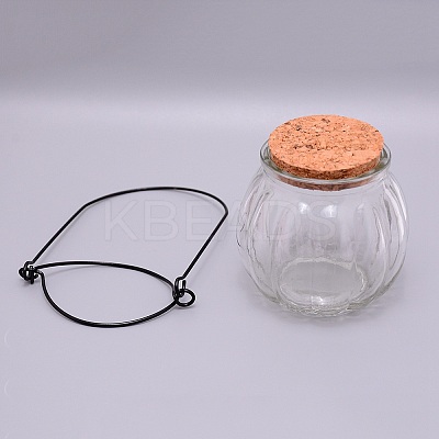 Empty Glass Wishing Bottle LS-GLAA-WH0028-10-1