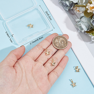 10Pcs Rack Plating Brass Micro Pave Cubic Zirconia Charms KK-BBC0016-43-1