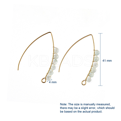 Dangle Earrings EJEW-JE03885-1