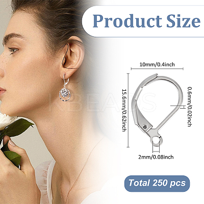 250Pcs 304 Stainless Steel Leverback Earring Findings STAS-ME0001-04-1