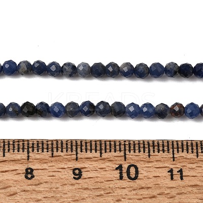 Natural Sodalite Bead Strands G-P279-58-3mm-01-1