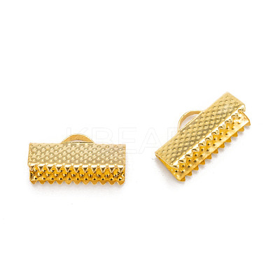 Iron Ribbon Crimp Ends E183Y-G-1