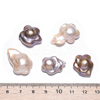 Baroque Natural Nucleated Keshi Pearl Beads PEAR-S020-A02-1-1