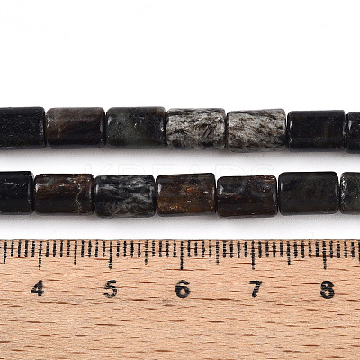 Natural Biotite Beads Strands G-T140-57-1