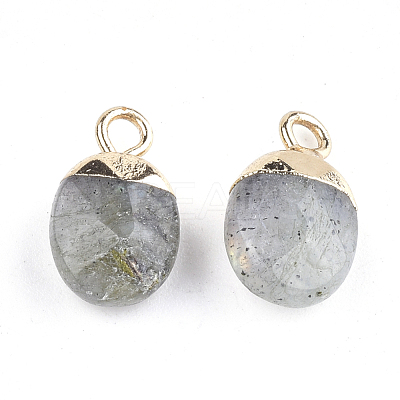 Electroplate Natural Labradorite Charms X-G-S344-09D-1