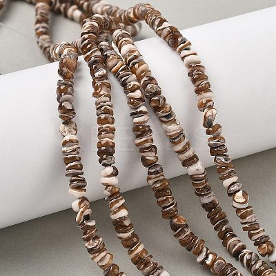 Natural Black Lip Shell Beads Strands SSHEL-F304-02A-1