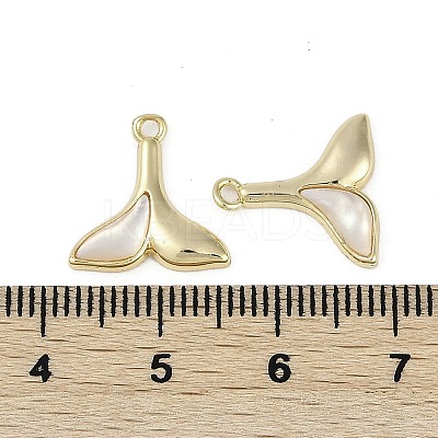Brass Enamel Charms KK-Z078-10G-1